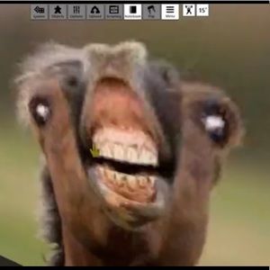 Meet your Posher, Mackenzie